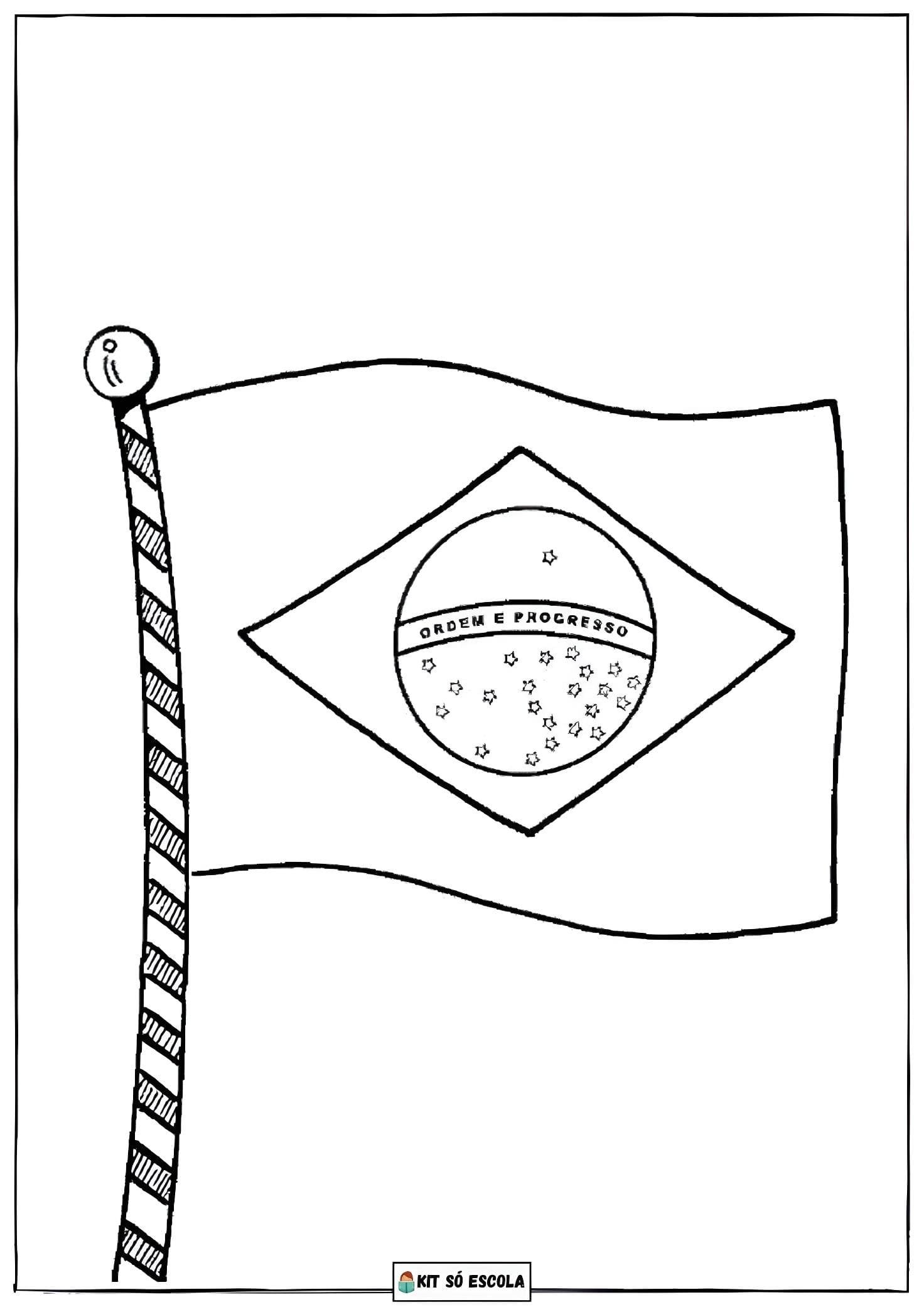 desenho detalhado do mapa do brasil